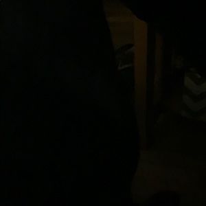 Meet your Posher, Chase